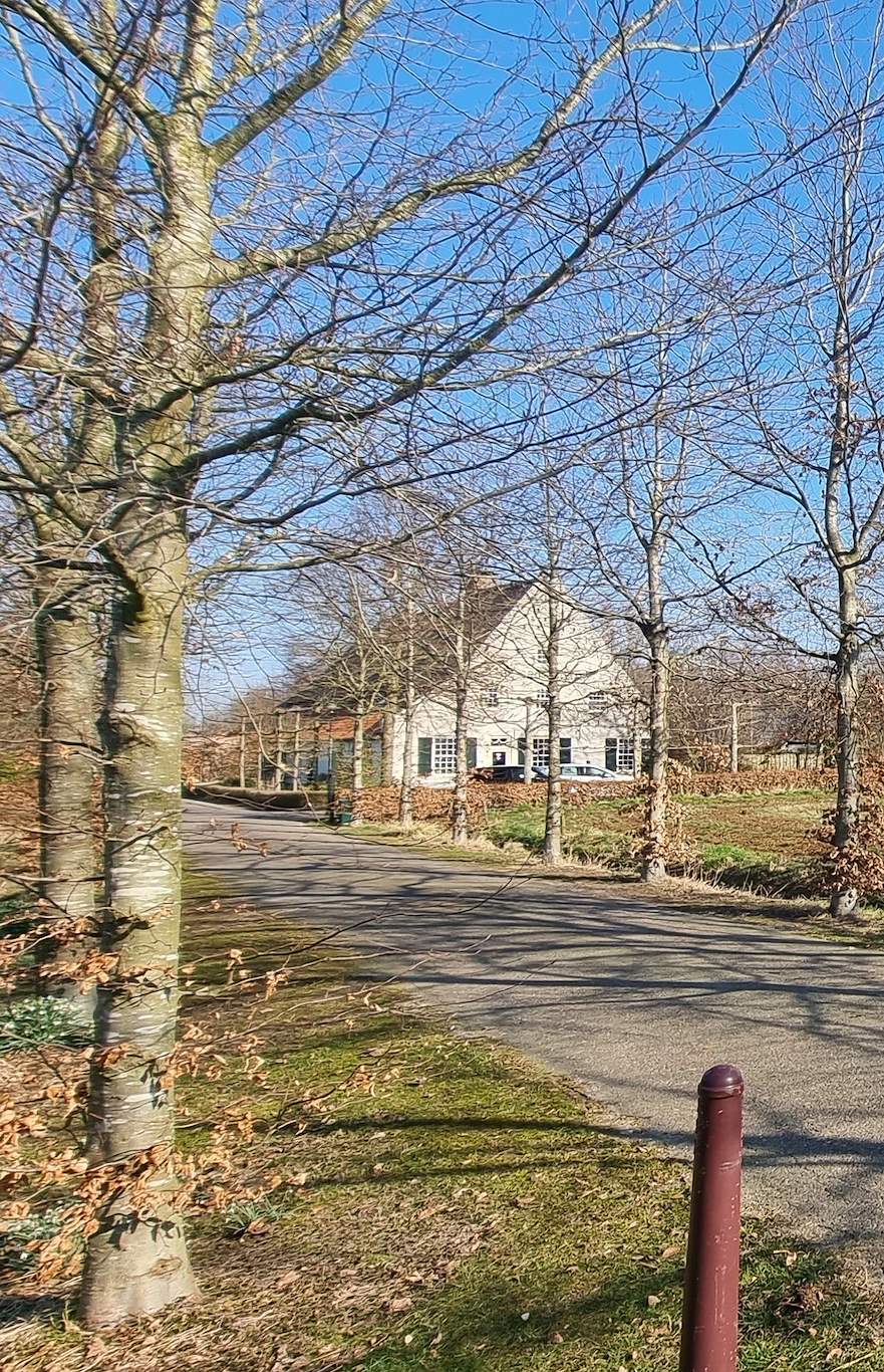 Weg in het buitengebied van 't Laar. Langs de weg staan bomen zonder blad. In de verte is een boerderij te zien.